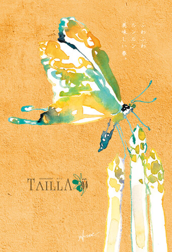 レストラン TAILLA 春のDM:レストランTAILLA様
