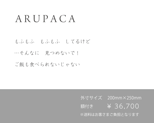 ARUPAKA_004.jpg
