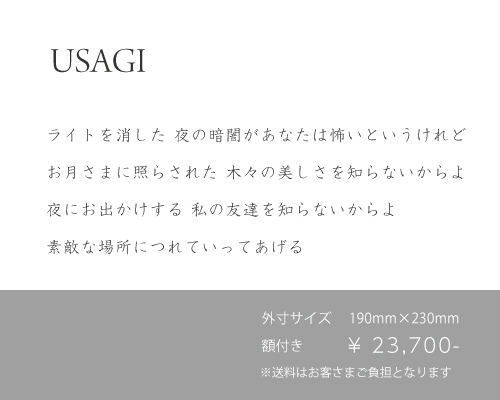 IKIMONO_2014_usagi_PRICE.jpg